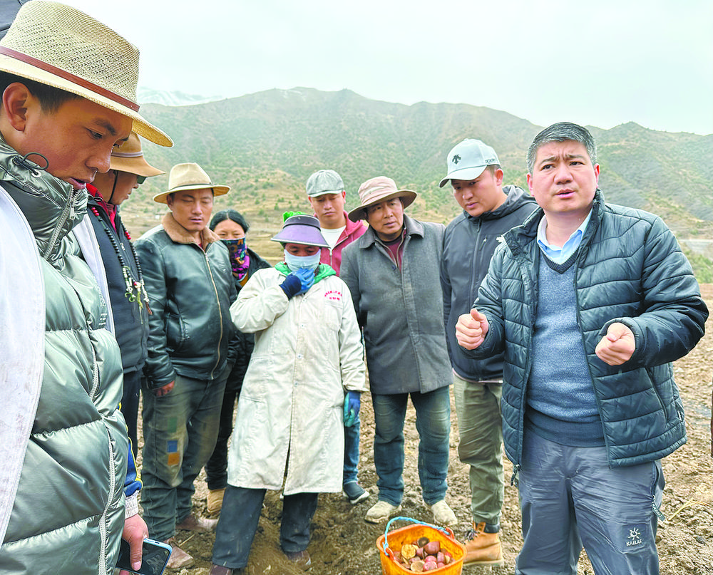 【乡村振兴在青海】把论文写在最广袤的田野之中——青海大学农林科学院科技指导帮扶侧记