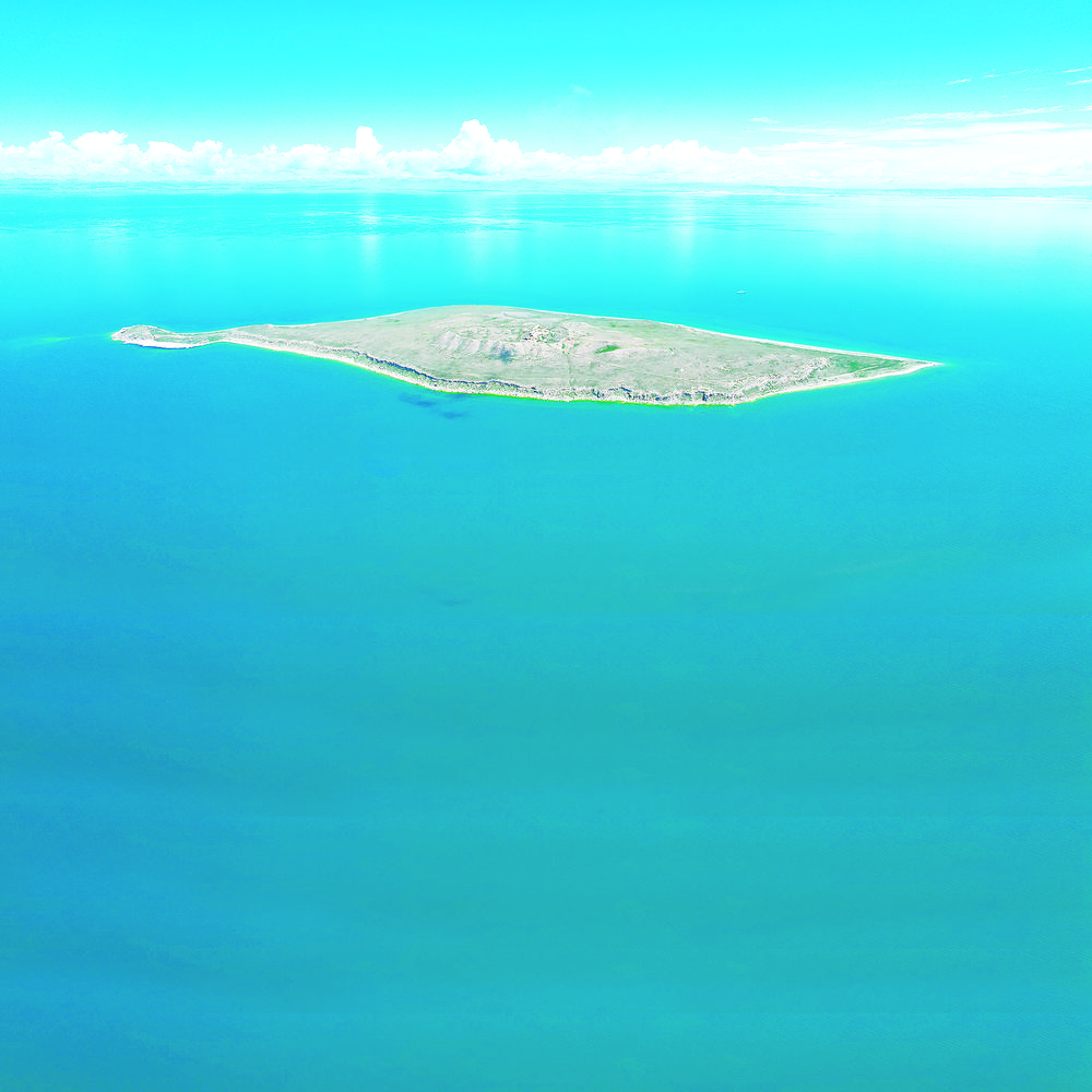 【生态观察】相约青海 大湖观鸟——探访青海湖湿地生物多样性家园