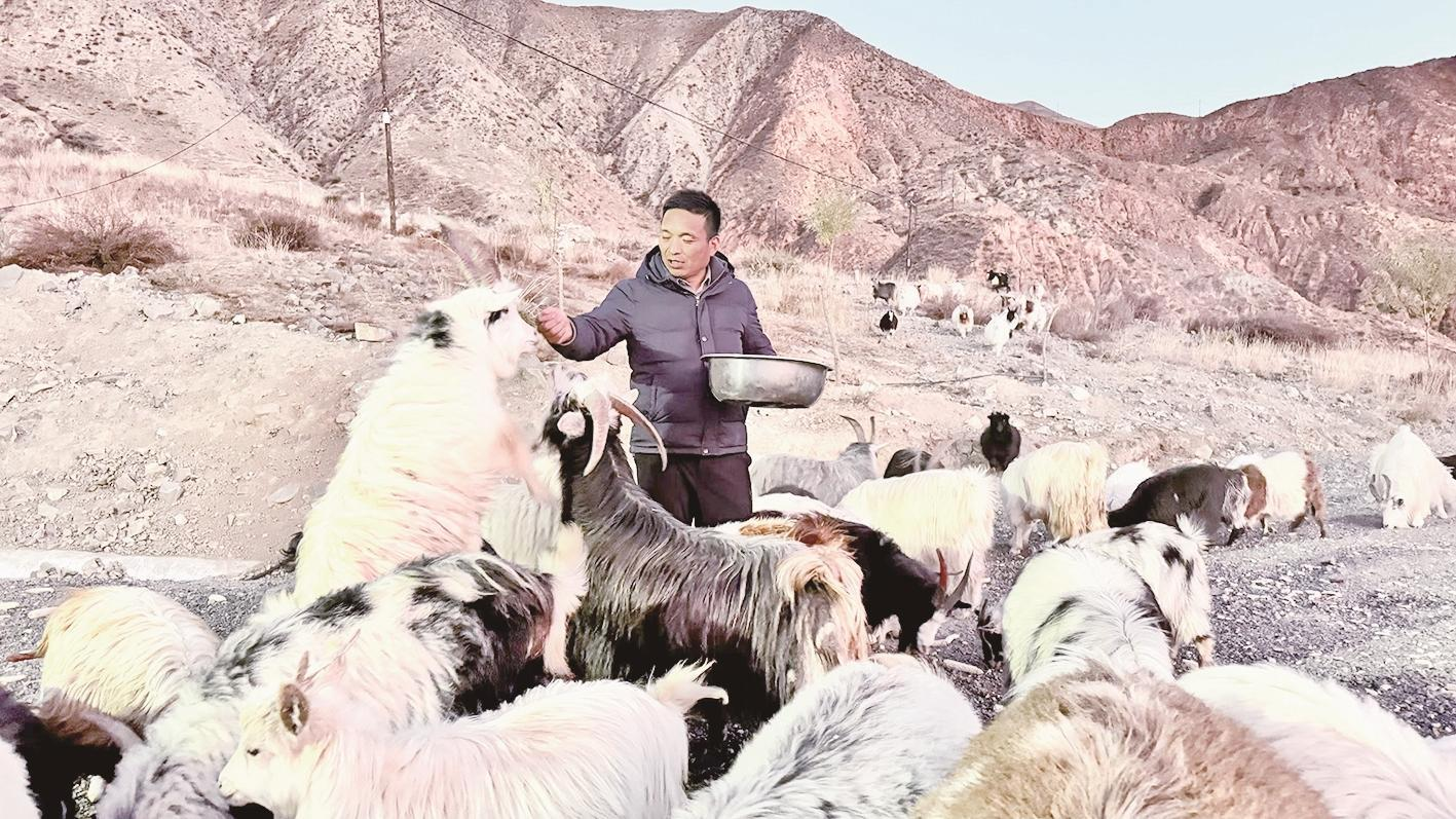 QQ图片20241120061556