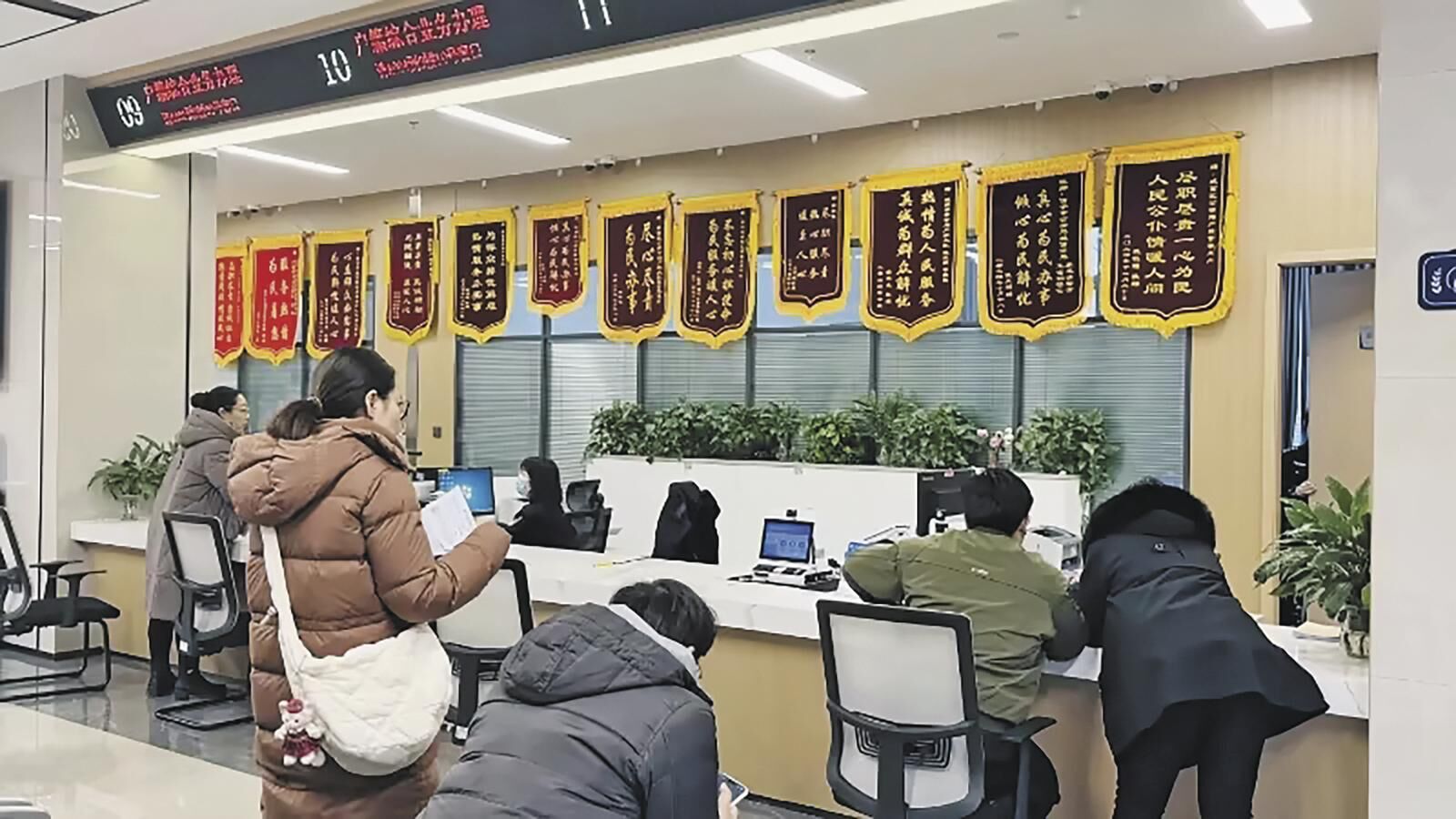 QQ图片20250206053953