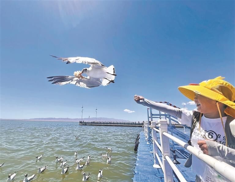 QQ图片20250911060647