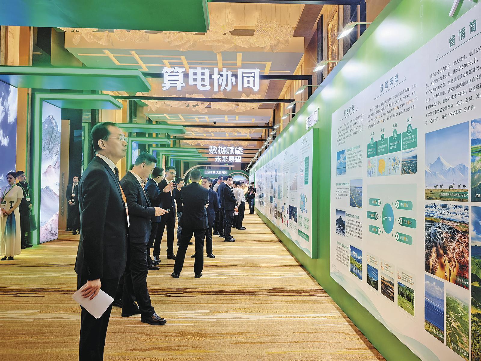 以绿色算电协同育青海发展“生命树”