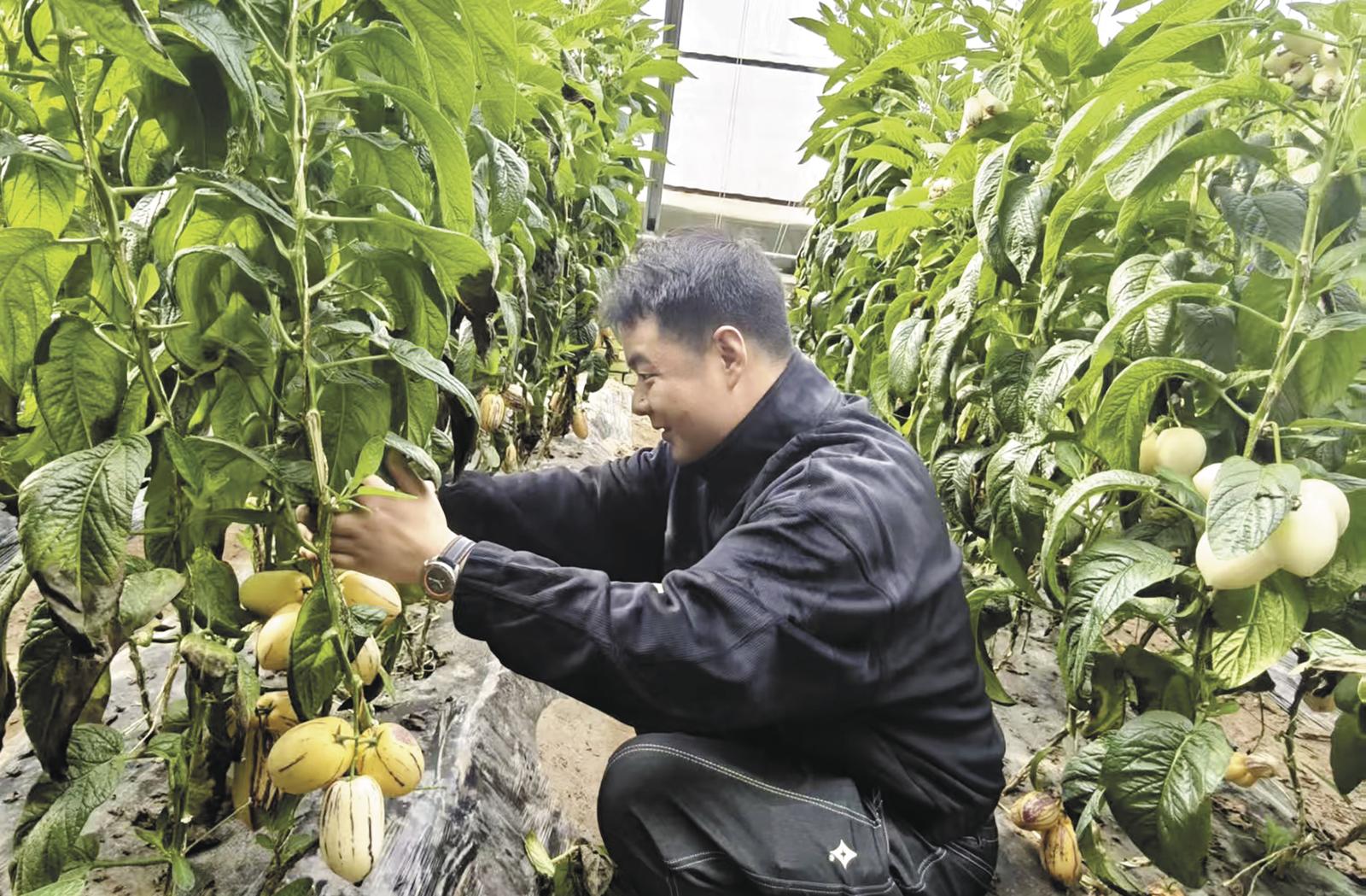 盐碱地上的春天