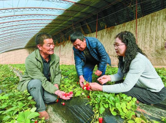 【新时代 新征程 新伟业·贯彻落实全国两会精神】激荡起以特色产业推动乡村振兴的浪潮