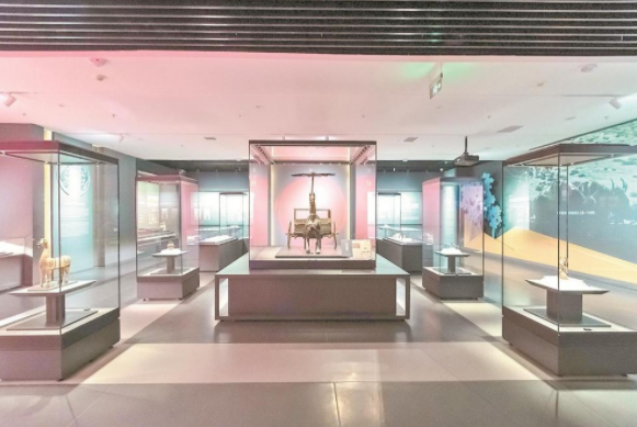 观历史文物展 探青海文化之源