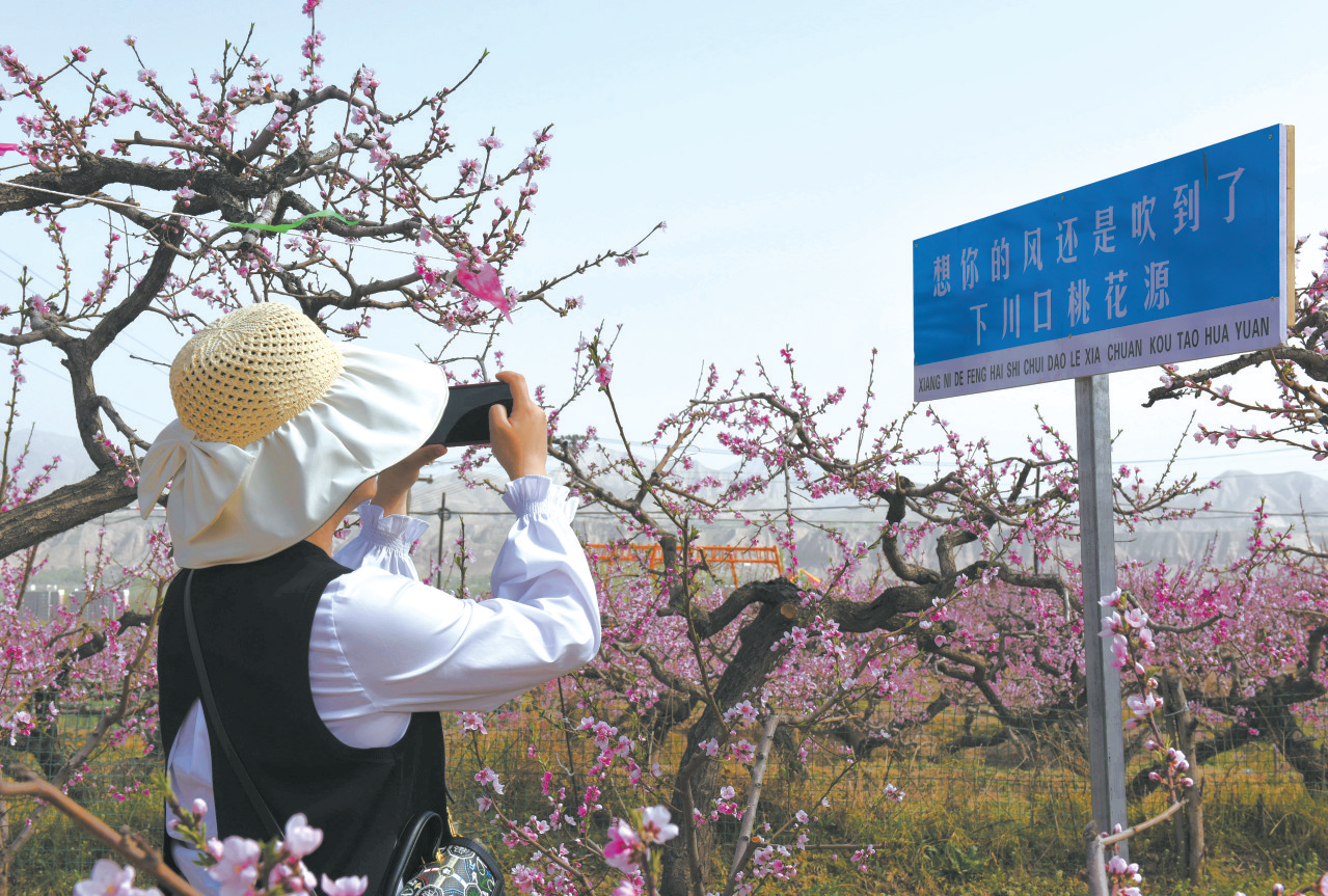 消费回“暖”，需求与市场“双向奔赴”——青海首季经济观察③