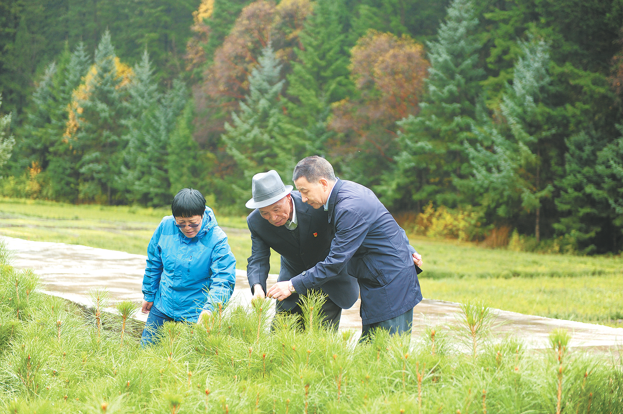 大山深处守绿人——记全国生态建设突出贡献先进个人赵昌宏