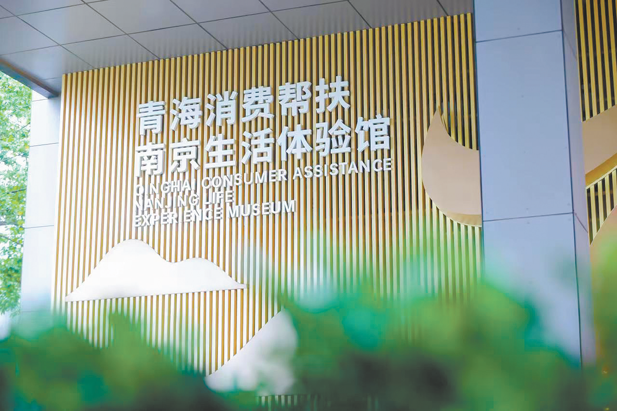 苏青协作，铺就消费帮扶的“康庄大道”