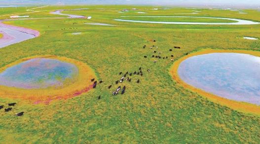 【牢记习近平总书记嘱托 打造生态文明高地】青海省3处湿地拟入选国家重要湿地名录
