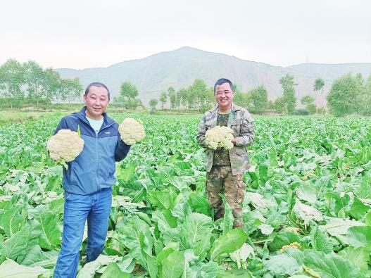 【乡村振兴在青海】新农人“慧”种田 乡亲们齐点赞