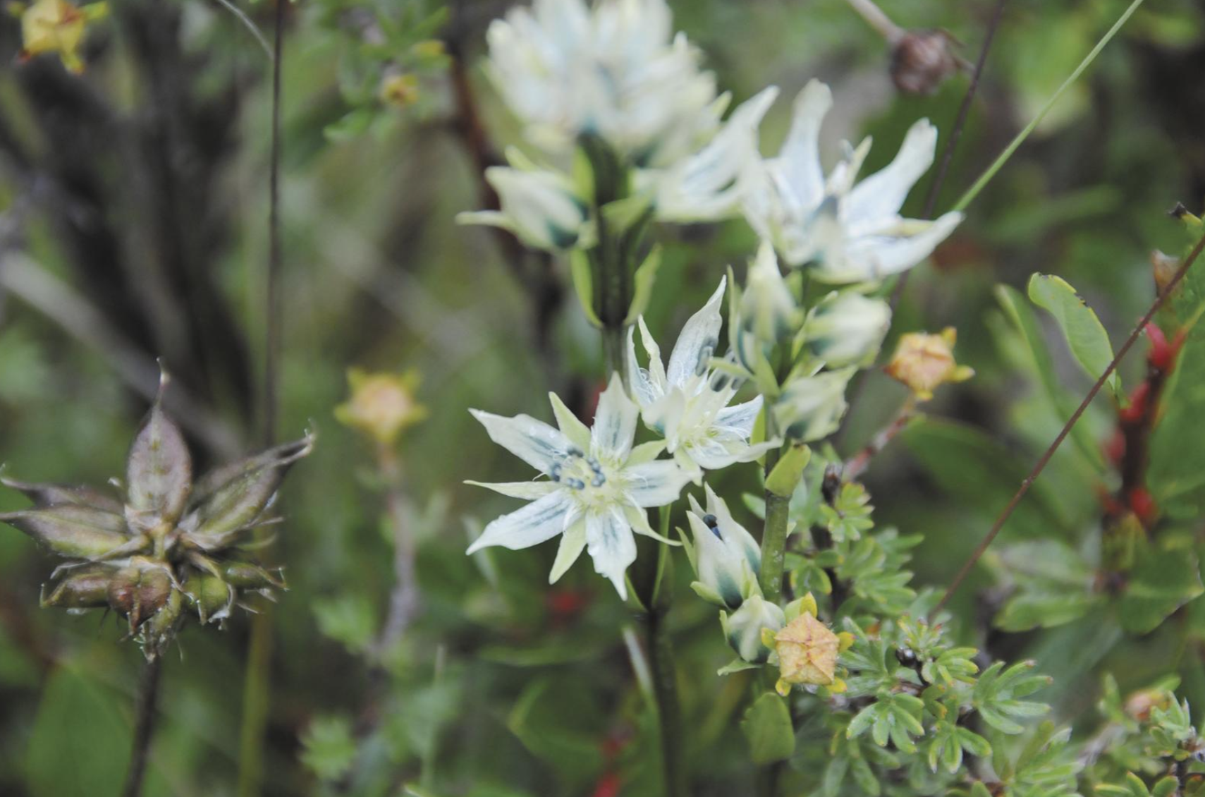 ScreenShot_2026-03-09_043628_648