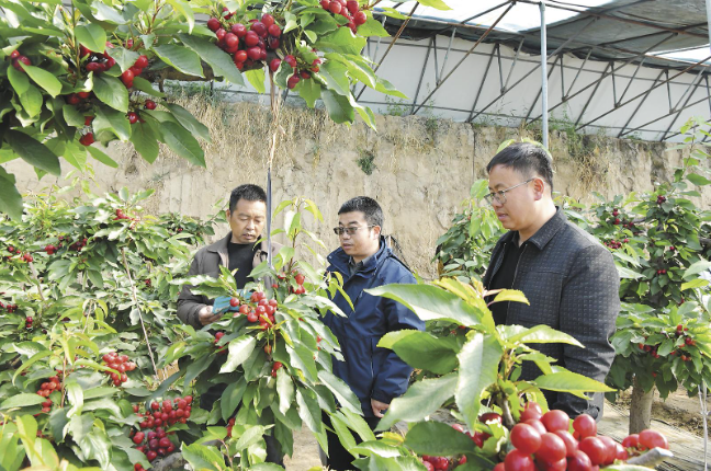 ScreenShot_2026-03-26_062919_155