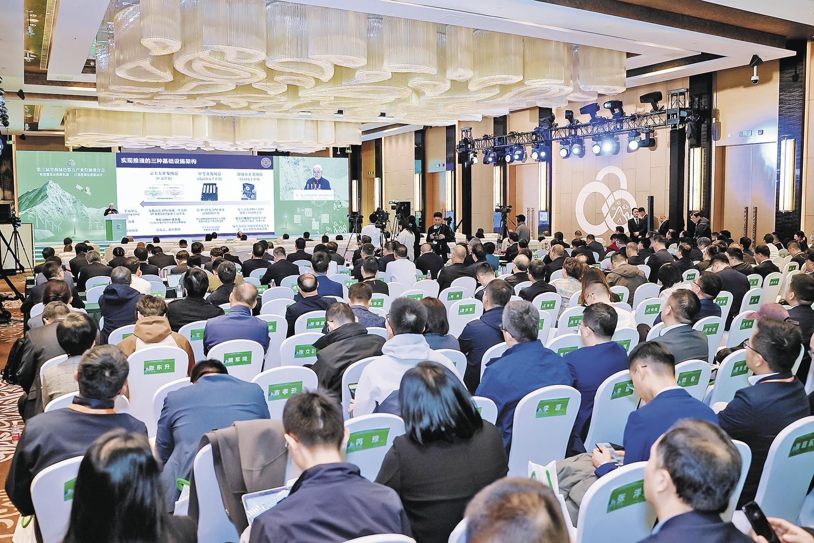 以绿色算电协同育青海发展“生命树”