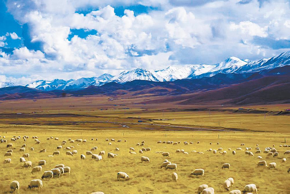 【两会特刊】找准内核，再拓高质量发展新局