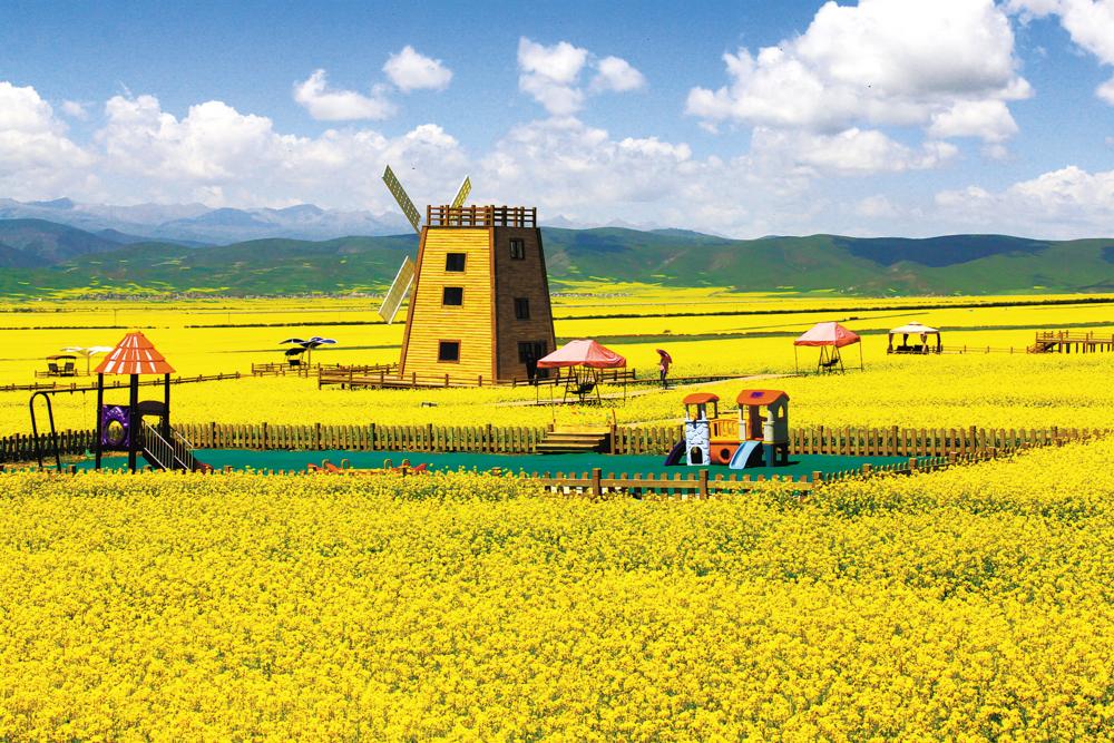 融合发展，诗与远方竞芬芳
 ——我省奋力推进文化旅游高质量发展综述之二