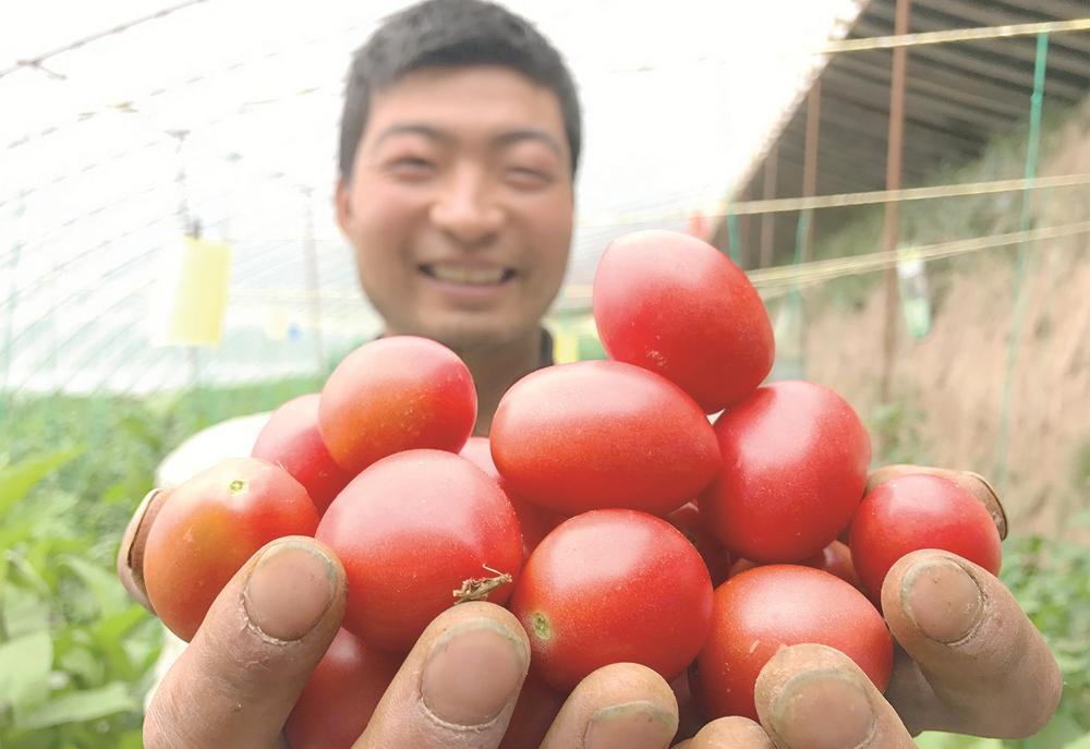 奋楫扬帆奔小康 乡村振兴正当时——我省脱贫攻坚纪实
