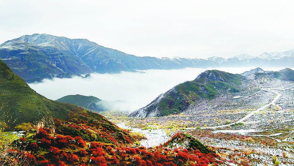 生态旅游：立于高地看星空 
——“加快‘四地’建设，推动高质量发展”系列述评之四