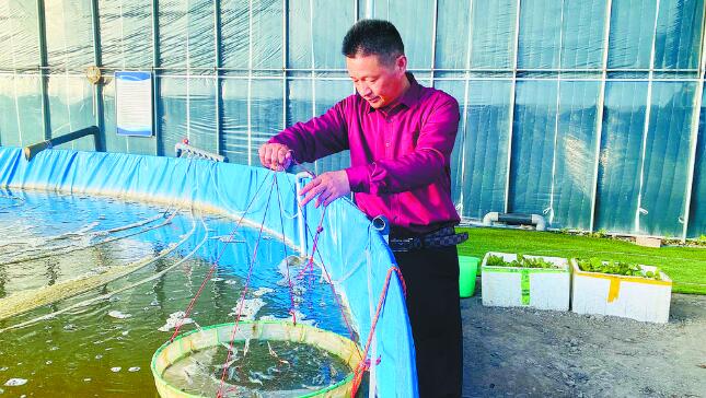 【新春走基层·奋进新征程】“虾”落户高原富一方
