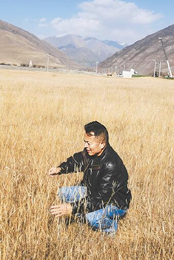 【劳动者之歌】“小草”也能撑起“一片天”
——记全国五一劳动奖章获得者、门源县草原站农业推广研究员王有良