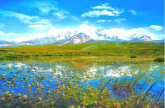 【奋进新征程 建功新时代·非凡十年】青山永驻 绿水常清
——“非凡十年看青海”系列述评之二