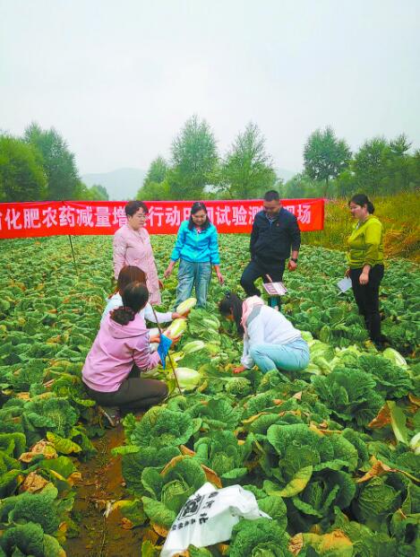 守好百姓“粮袋子”——记全国粮食生产先进集体青海省农业技术推广总站