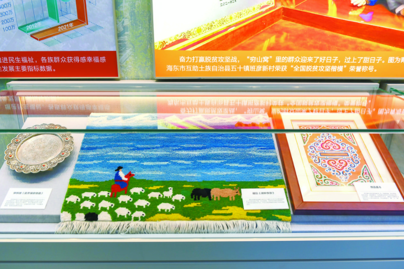 见证高原大地团结奋进力量 
——解码“奋进新时代”主题成就展地方展区青海单元④