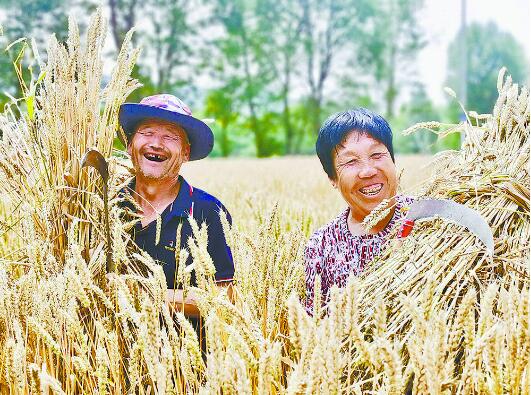 【奋进新征程 建功新时代·非凡十年】乡村振兴 壮美画卷
——“非凡十年看青海”系列述评之八