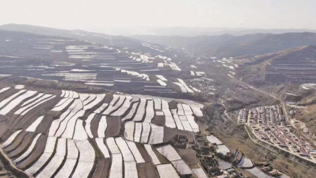 【新时代 新征程 新伟业】“这一年收获满满，下一年信心十足”
